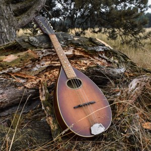 vintage-50s-levin-mandolin-swedish-instrument-stringed-cabin-lodge-decor-folk-country-western-music (2) Vintage 1950 50s Levin Model 46 Mandolin Instrument Luthier String Cabin Lodge Ranch Western Folk Decor Swedish