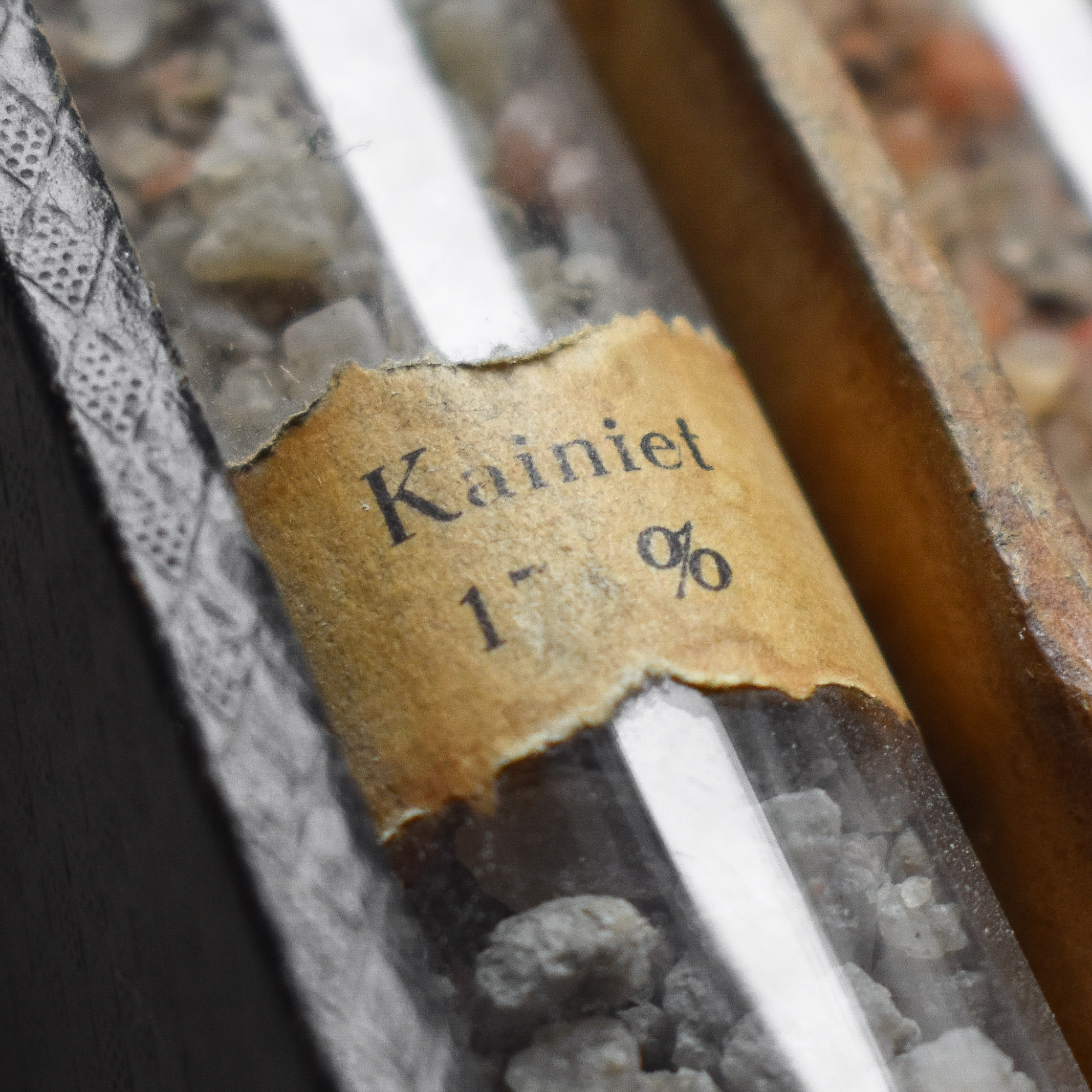 antique-vintage-20s-1920s-dutch-mineral-salts-specimen-specimens-biology-geology-scientific-model-curiosity-curiosities-oddity-cabinet-decor-collection (7)