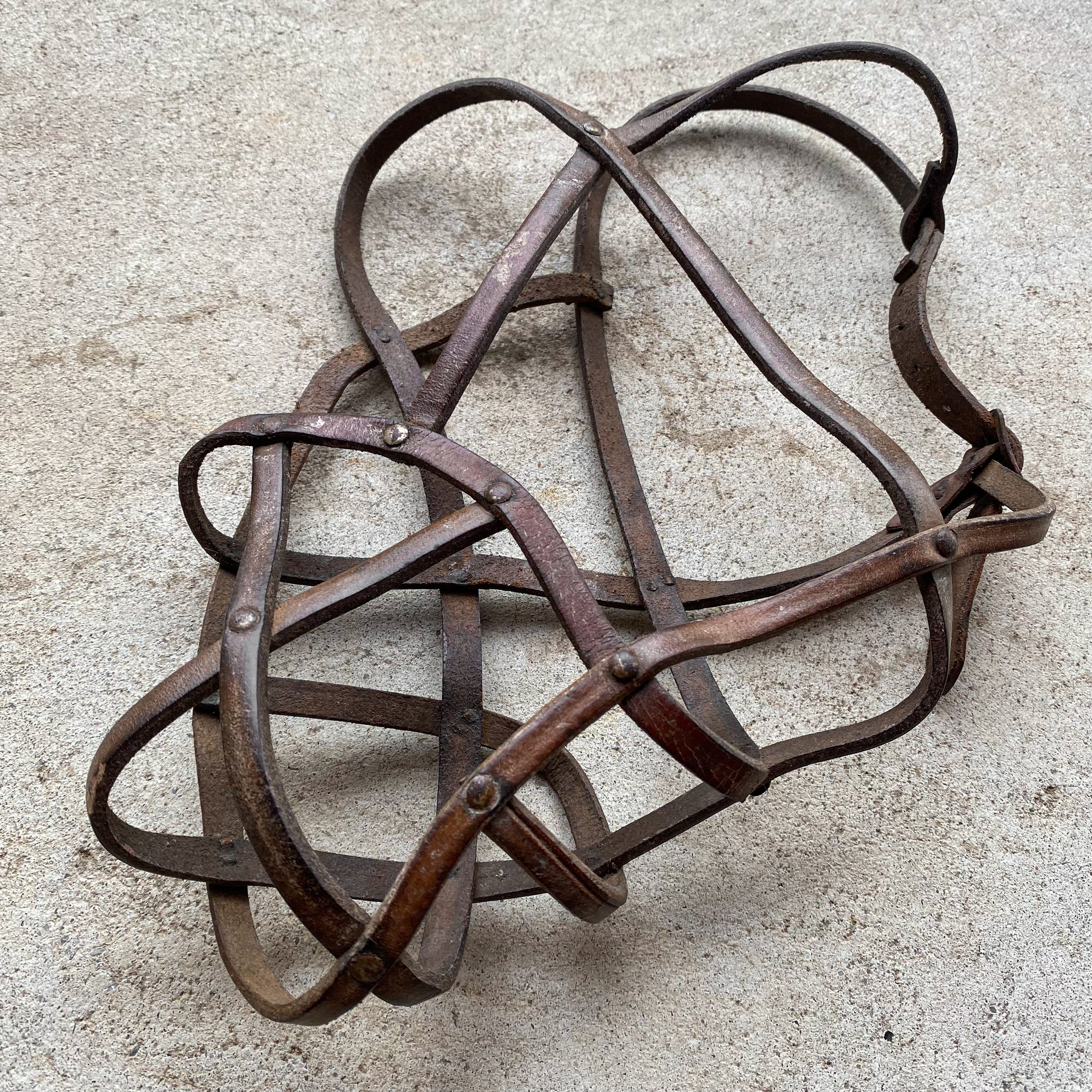 antique-vintage-30s-1930s-leather-dog-muzzle-curiosity-curiosities-oddity-oddities-collection-cabinet-gift-decor-roots-revived (4)