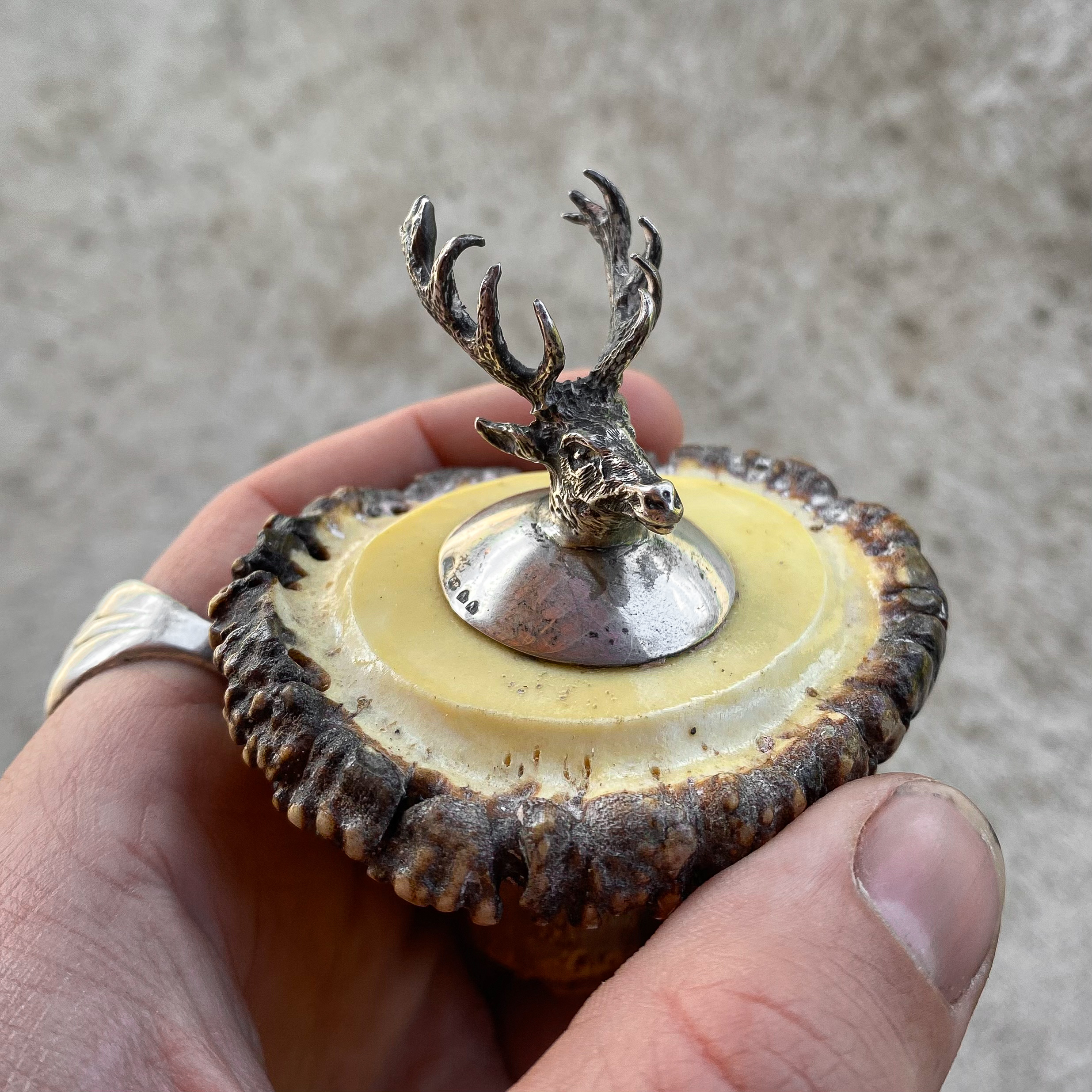 antique-vintage-19th-century-1800s-victorian-silver-plated-deer-hear-antlers-stag-antler-bottle-stopper-curiosity-decor-collection-gift (8) Antique Vintage Victorian 19th Century 1800s Silver plated Deer Stag Antlers Bottle Stopper Curiosity Hunting Decor Collection Gfit