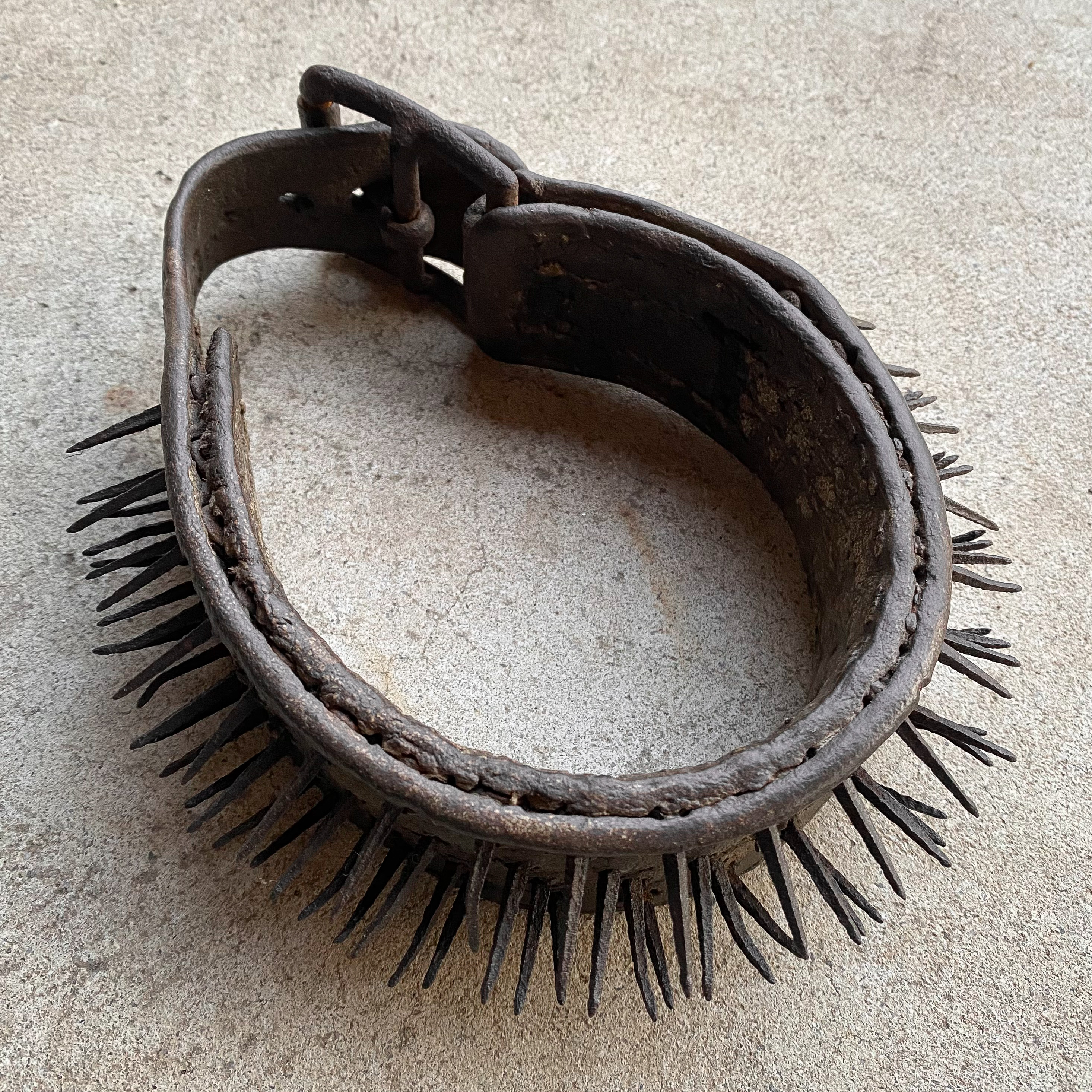 antique-vintage-early-1900s-eastern-european-anti-wolf-dog-collar-curiosity-oddity-collection-decor-gift-leather (1)
