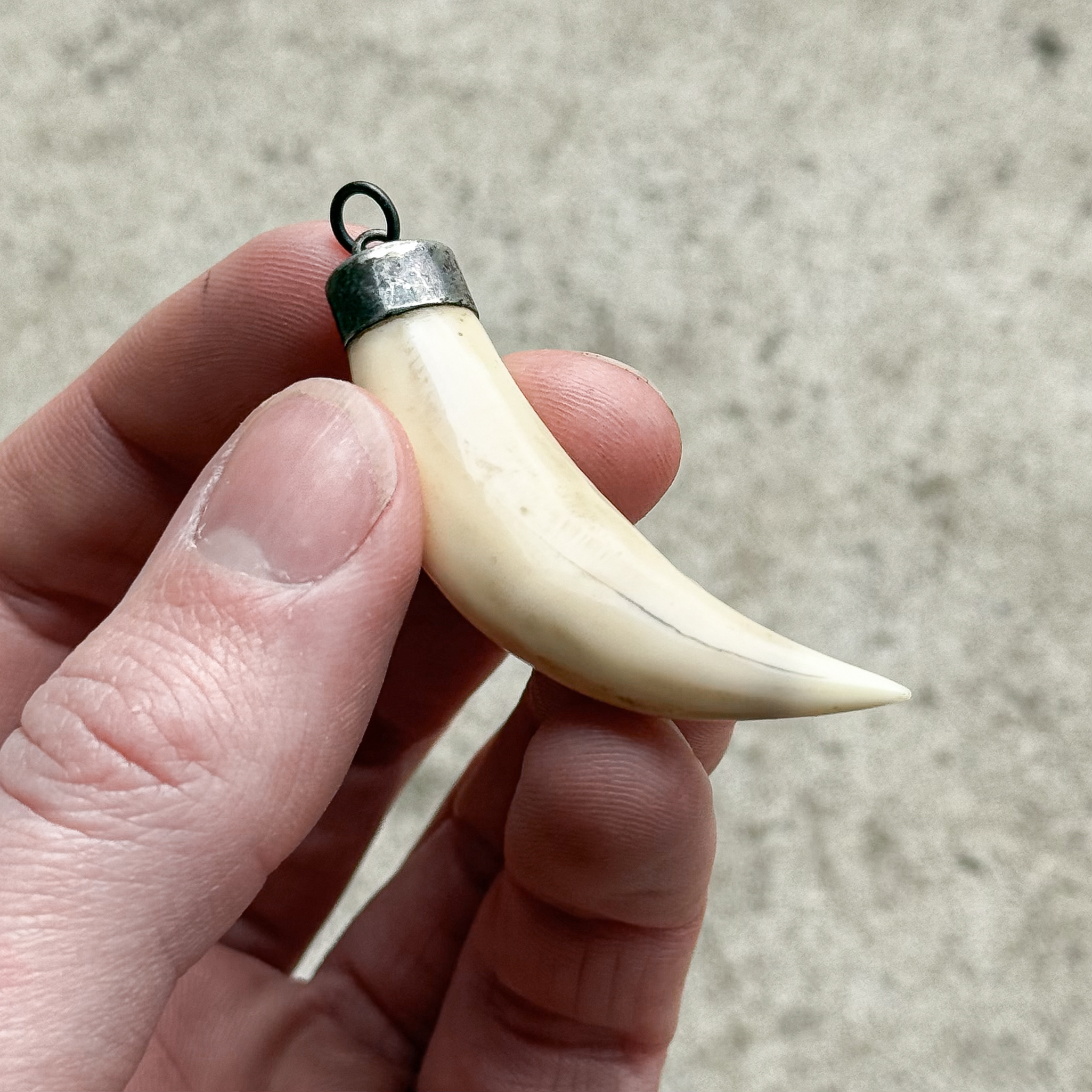 antique-vintage-early-1900s-tooth-fang-canine-pendant-silver-necklace-talisman-gift-decor-jewelry (5)