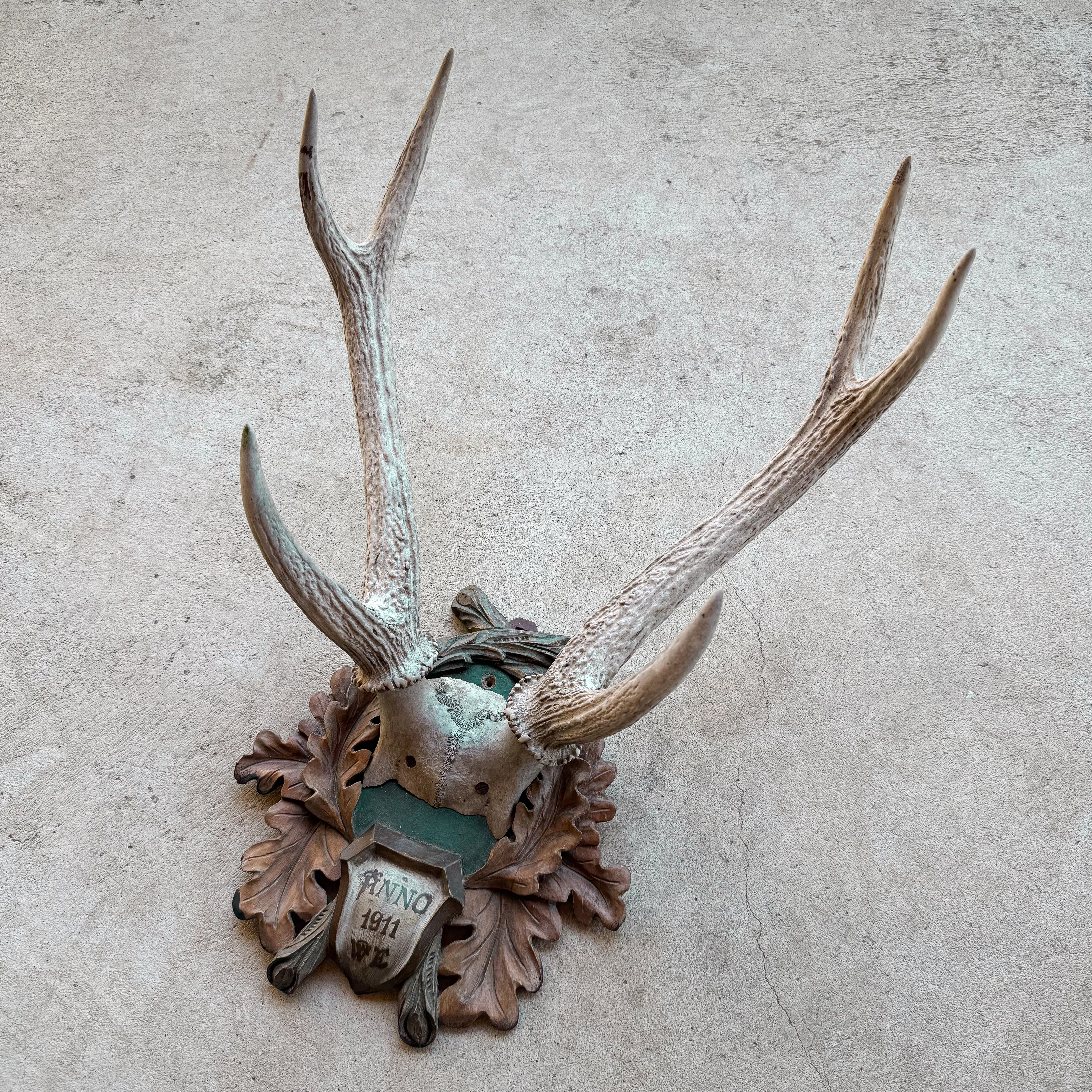 antique-vintage-1910s-german-red-deer-antler-mount-antlers-taxidermy-curiosity-decor-collection-hunting-trophy (6)